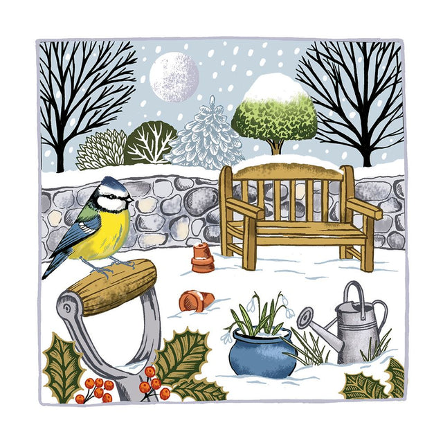 winter-blue-tit-christmas-pack-museums-galleries