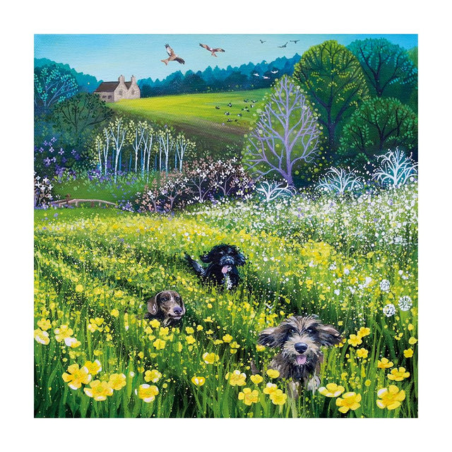 field-of-dreams-mezzanine-greeting-cards-museums-galleries
