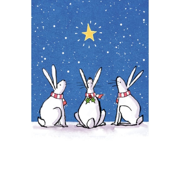 polar-star-charity-christmas-box-museums-galleries