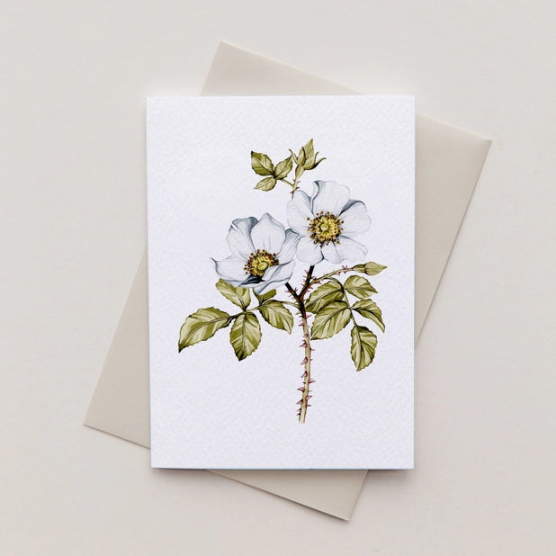 dog-rose-mini-watercolour-greeting-card-sophie-brabbins