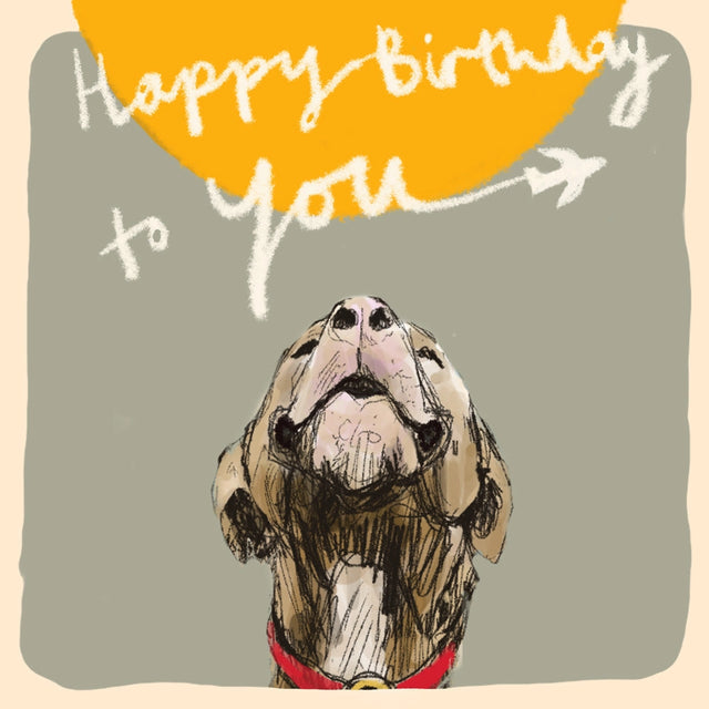 birthday-plane-dog-greeting-card-poet-painter