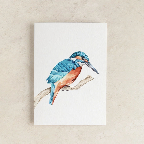 mini-kingfisher-watercolour-greeting-card-sophie-brabbins