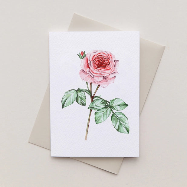 Pink Rose Mini Watercolour