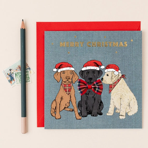 christmas-dog-trio-christmas-card-apple-clover