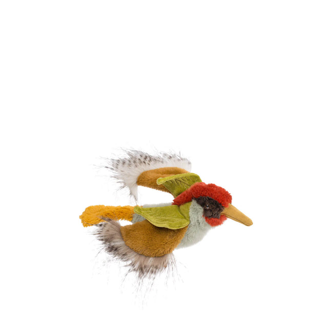 Green Woodpecker: Tout Autour Du Monde