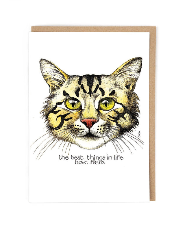 fleas-simon-drew-greeting-card-cath-tate