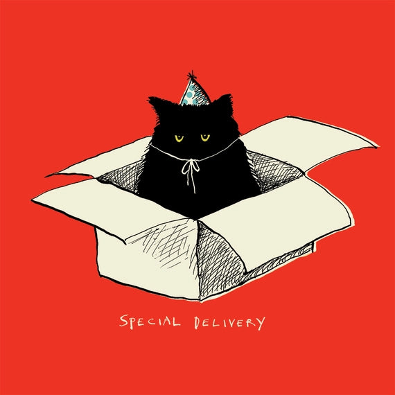 black-cat-special-delivery-greeting-card-poet-painter