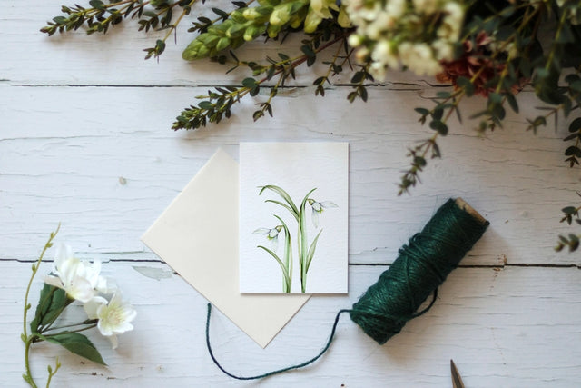 snowdrop-mini-watercolour-greeting-card-sophie-brabbins
