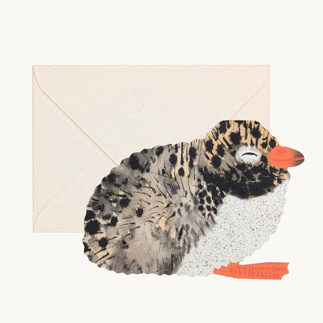 arctic-tern-chick-greeting-card-hadley-paper-goods