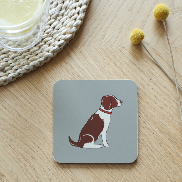 liver-white-springer-spaniel-coaster-sweet-william