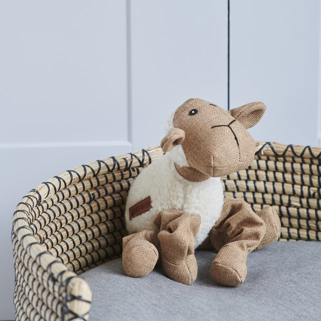 woolliam-the-lamb-dog-toy-sweet-william