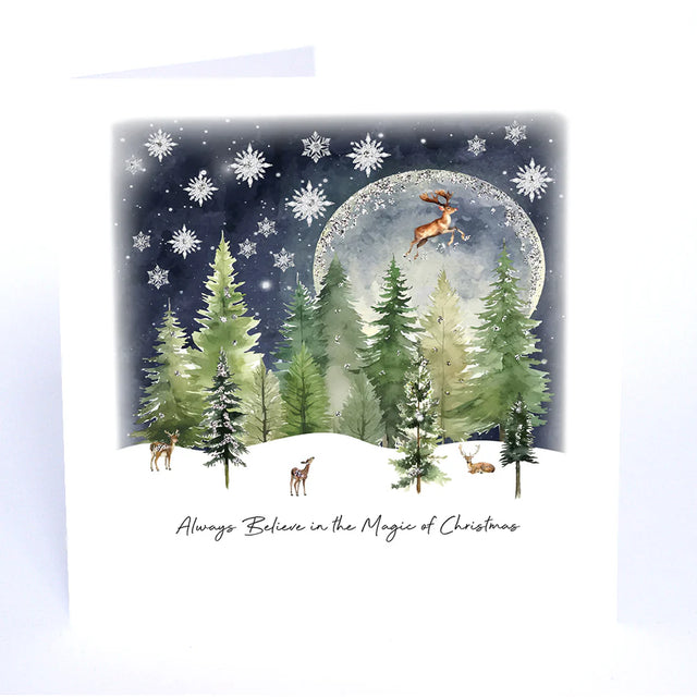 always-believe-in-the-magic-christmas-card-five-dollar-shake