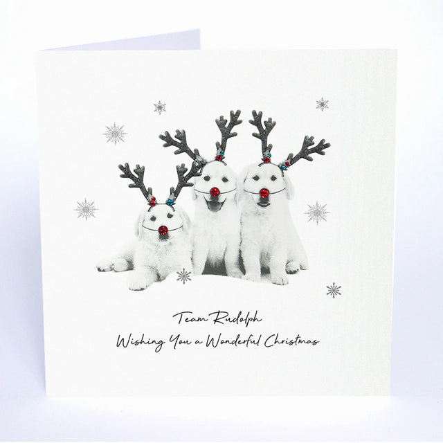 team-rudolph-animal-crackers-christmas-card-five-dollar-shake