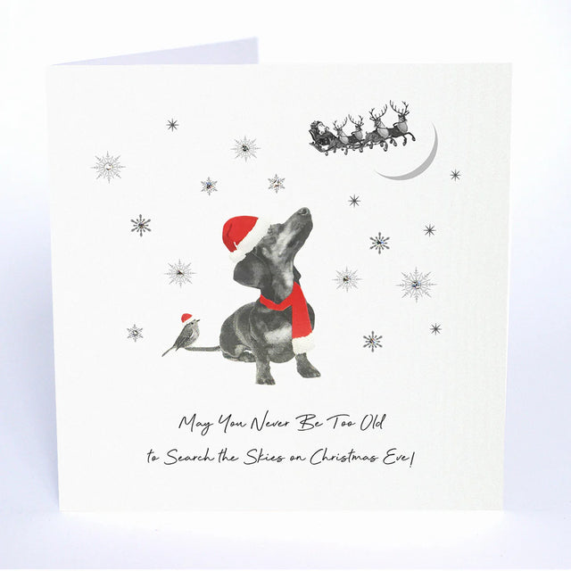 search-the-skies-sausage-dog-animal-crackers-christmas-card-five-dollar-shake