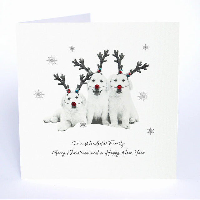 wonderful-family-at-christmas-animal-crackers-christmas-card-five-dollar-shake