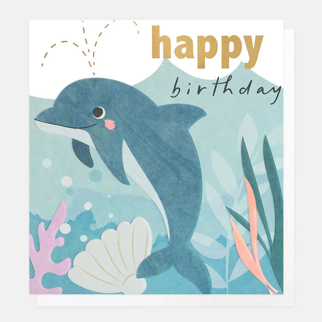 dolphin-happy-birthday-greeting-card-caroline-gardner