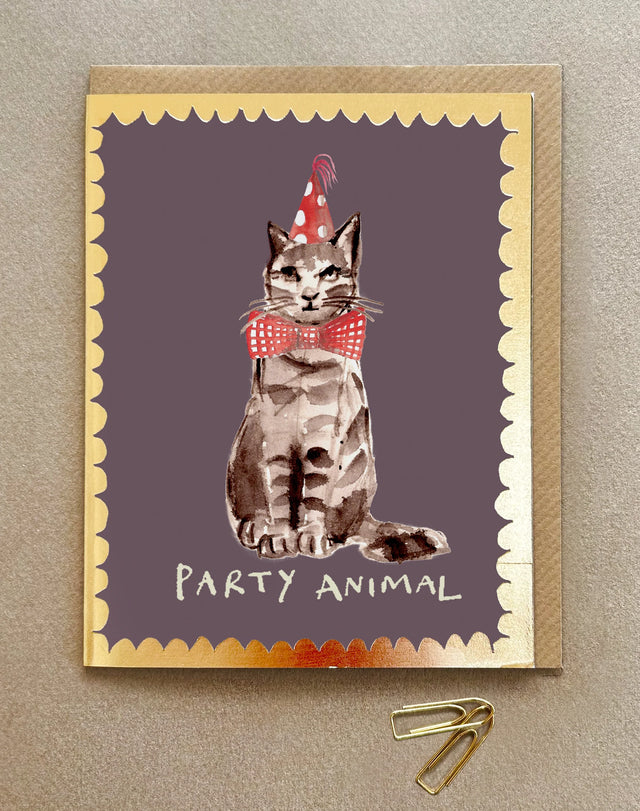 Party Animal Cat