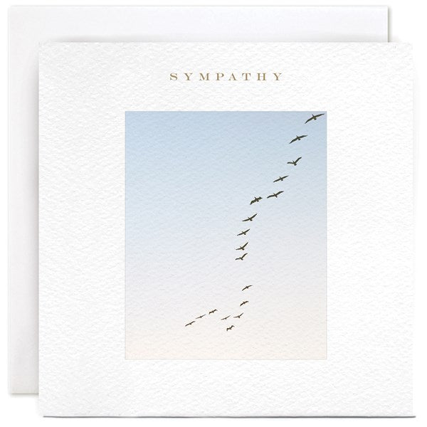 birds-in-sky-sympathy-greeting-card-susan-ohanlon
