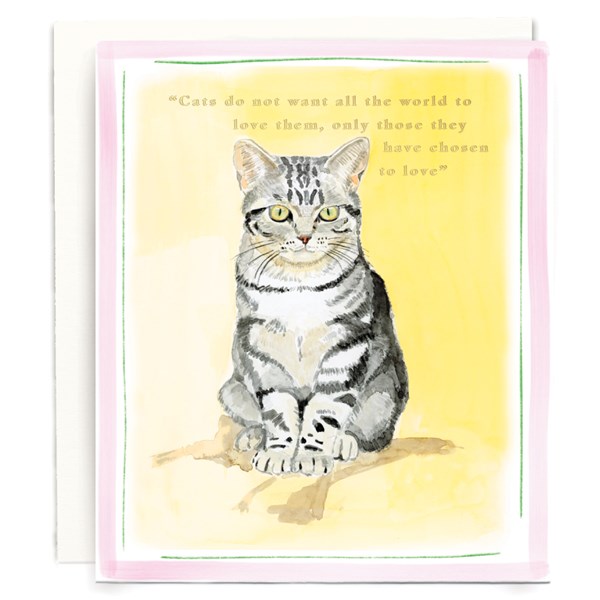 Tabby Cat