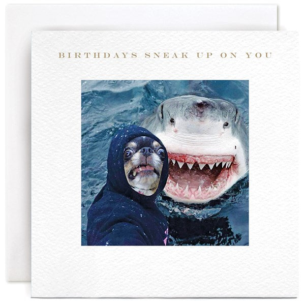 shark-birthdays-sneak-up-on-you-greeting-card-susan-ohanlon