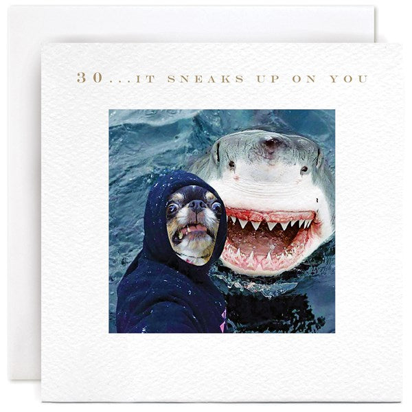 ark-30-it-sneaks-up-on-you-greeting-card-susan-ohanlon