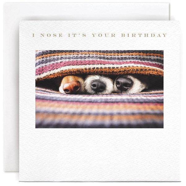i-nose-its-your-birthday-greeting-card-susan-ohanlon
