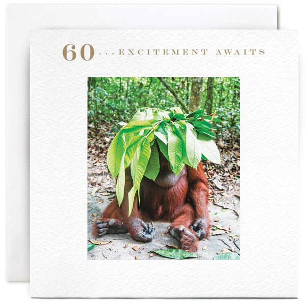 orangutan-60-excitement-awaits-greeting-card-susan-ohanlon