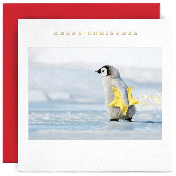 penguin-chick-with-star-christmas-greeting-card-susan-ohanlon