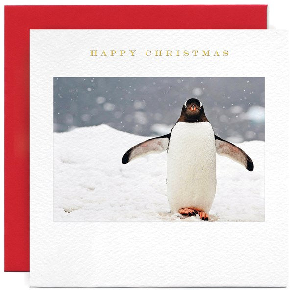 penguin-happy-christmas-greeting-card-susan-ohanlon