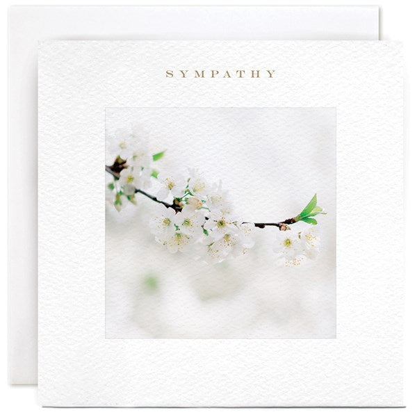 white-blossom-branch-sympathy-greeting-card-susan-ohanlon