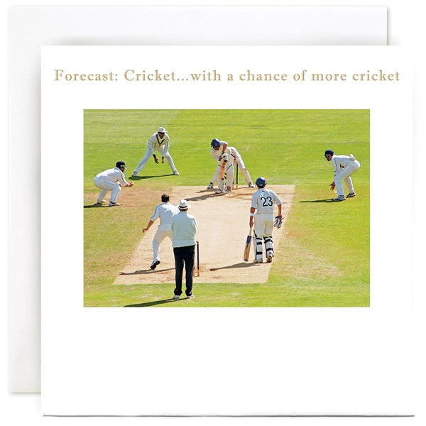 cricket-with-a-chance-of-more-cricket-greeting-card-susan-ohanlonohanlon