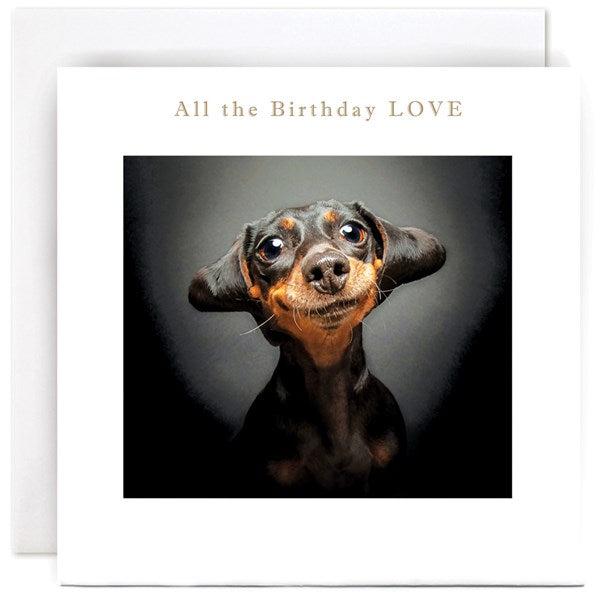 all-the-birthday-love-dachshund-greeting-card-susan-ohanlon