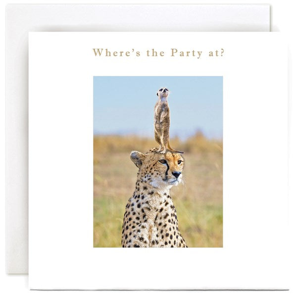 cheetah-meercat-wheres-the-party-at-greeting-card-susan-ohanlon