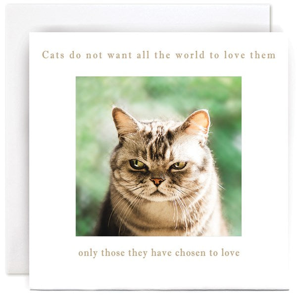 cats-chosen-love-greeting-card-susan-ohanlon