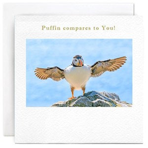 puffin-compares-to-you-greeting-card-susan-ohanlon