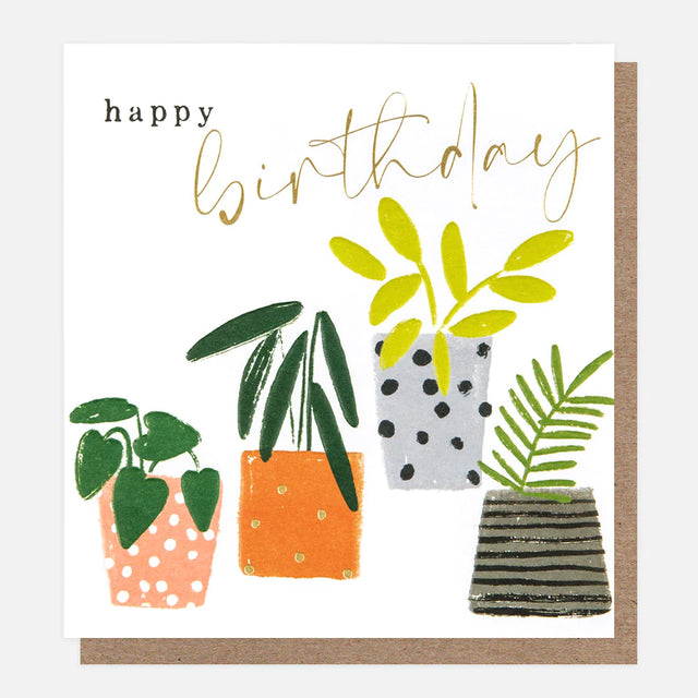 birthday-patterned-plant-pots-greeting-card-caroline-gardner