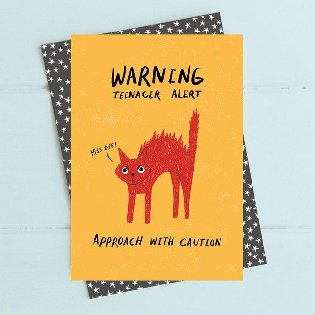 warning-teenager-alert-birthday-card-dandelion-stationery