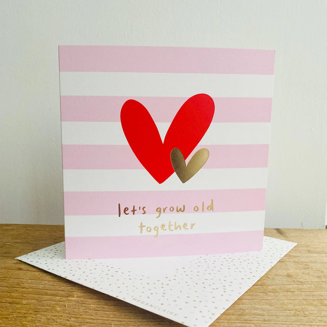 lets-grow-old-together-love-struck-megan-claire