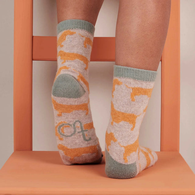 womens-lambswool-socks-sausage-dog-catherine-tough