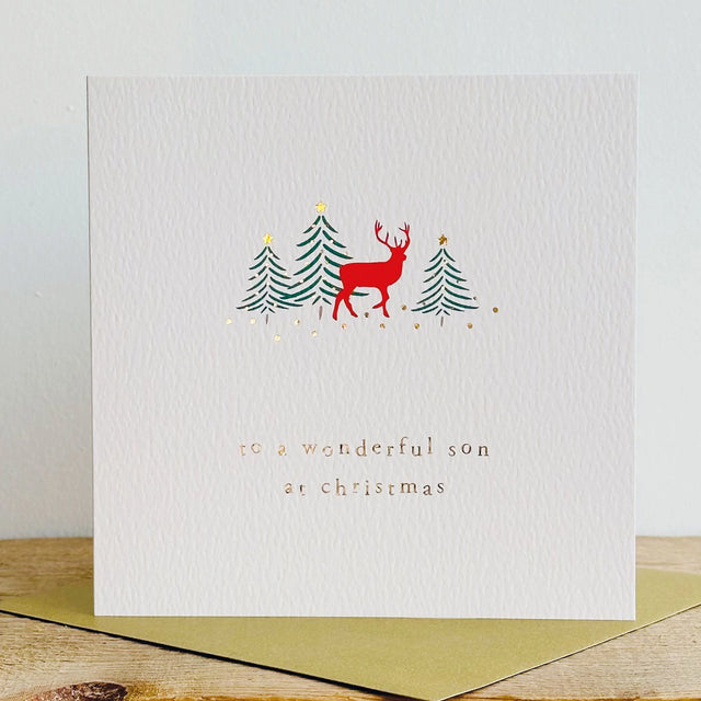 wonderful-son-merry-little-christmas-greeting-card-megan-claire