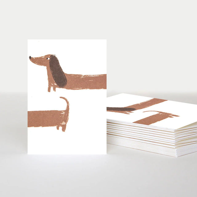 long-sausage-dog-blank-notecards-caroline-gardner