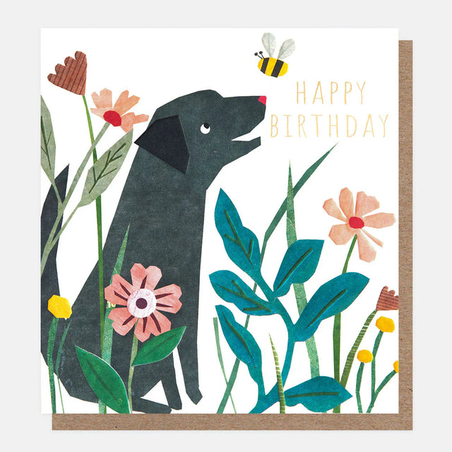 black-dog-and-bee-birthday-greeting-card-caroline-gardner