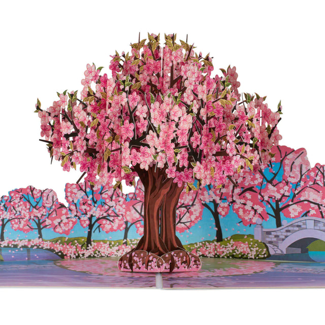 pink-cherry-blossom-pop-up-card-cardology