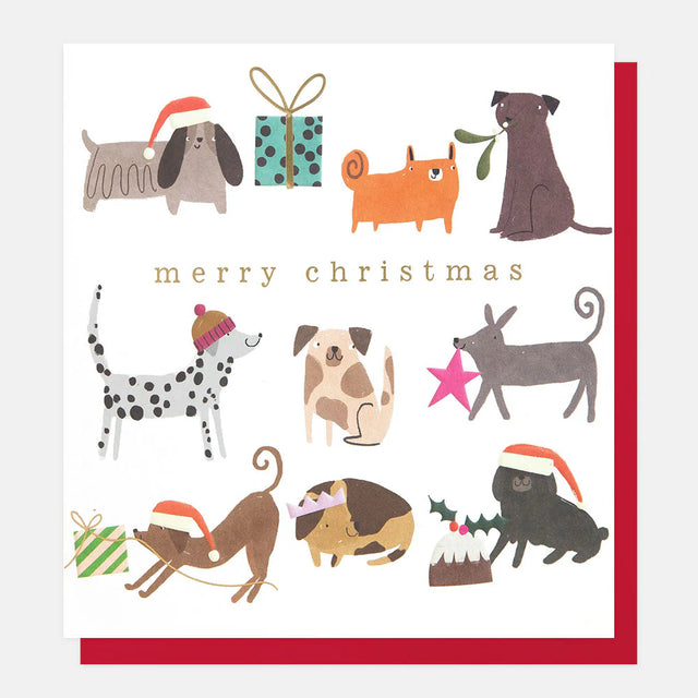 festive-dogs-greeting-card-caroline-gardner