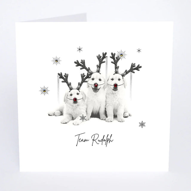 Team Rudolph: White Christmas Small Greeting Card - Five Dollar Shake