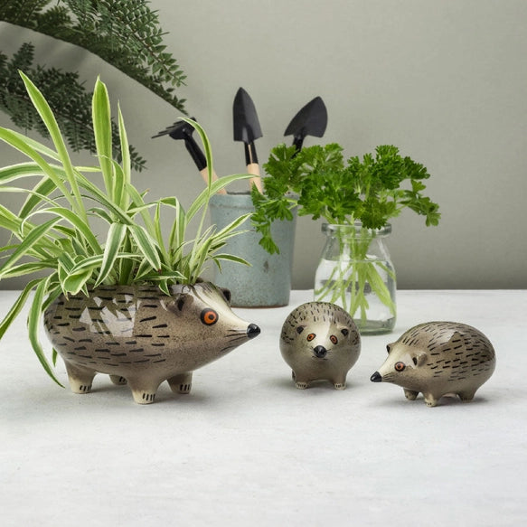 hedgehog-planter-hannah-turner