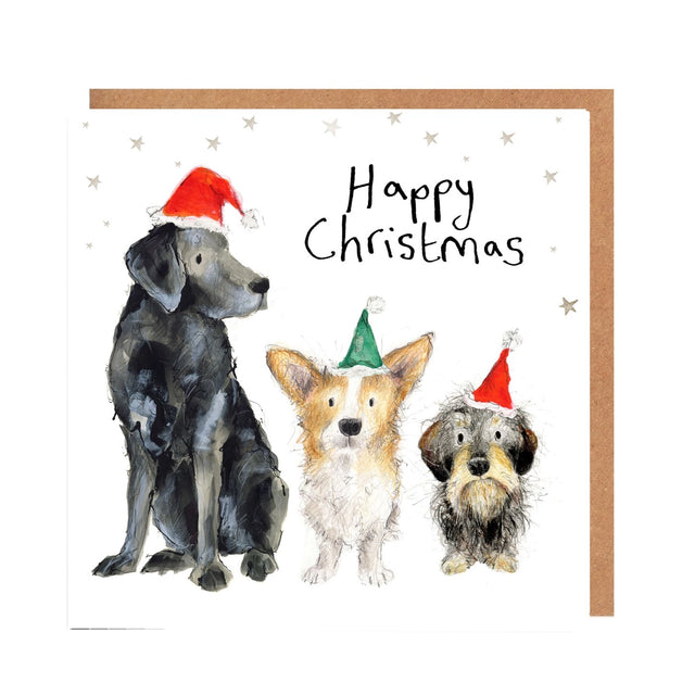 canine-christmas-charity-greeting-card-catherine-rayner