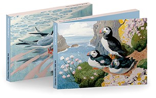 Puffins and Terns Notecards by Charles Tunnicliffe
