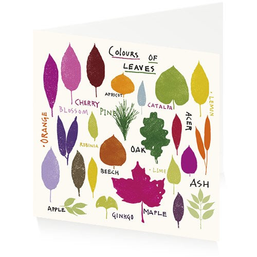 colours-of-leaves-by-jenny-frean-greeting-card-artpress
