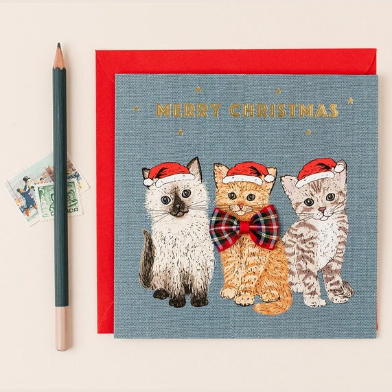 christmas-cat-trio-christmas-card-apple-clover